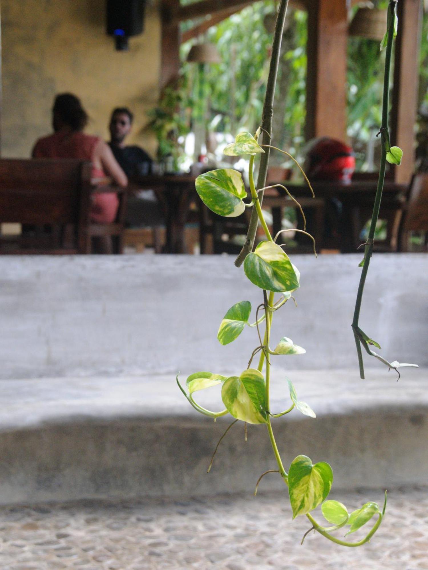 Happiness Boutique Resort El Nido Ngoại thất bức ảnh