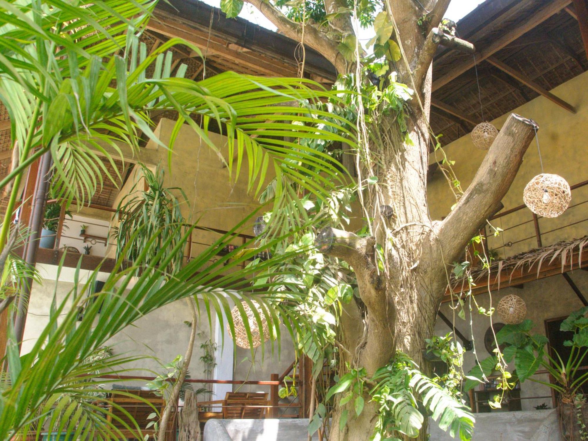 Happiness Boutique Resort El Nido Ngoại thất bức ảnh
